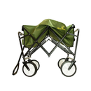 CARRINHO ROLLER VERDE