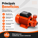 Bomba D' Àgua Periférica 0,5cv - Fox Lux