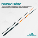 Vara Para Carretilha Manjuba 10-20 Lbs Albatroz Fishing