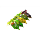 Isca Sapo FROG Ref. (709)