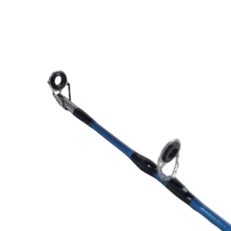 Vara Carretilha TAMBAQUI C1652 1,65mts 30lbs 2 Partes Albatroz